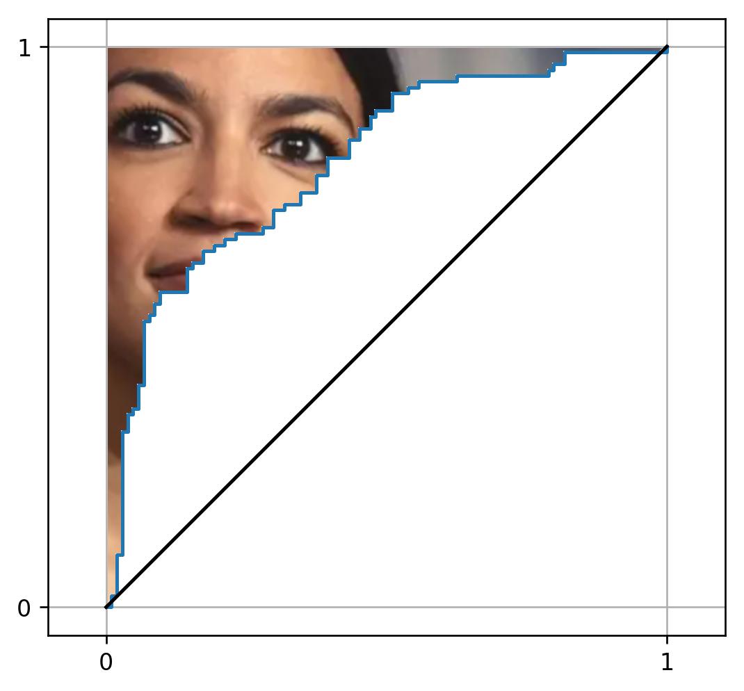 A play on words, the image show Alexandria Ocasio-Cortez, who is also known as AOC, as the area over the ROC curve.  The area under the curve is commonly known as AUC, so the area over it would be AOC.